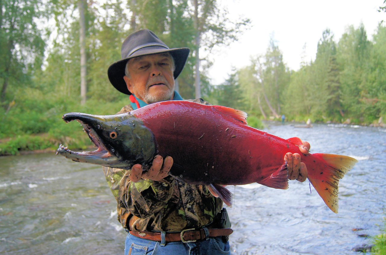Spotlight on the Threat to Bristol Bay’s Sockeye Salmon Fisheries: This Is What You Need to Know